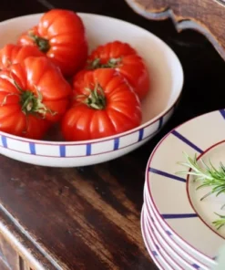 Maison Jean-Vier Assiette Plate Porcelaine Blanc 26,50 Cm -Chef&Sommelier-boutique assiette plate porcelaine blanc 26 50 cm 2