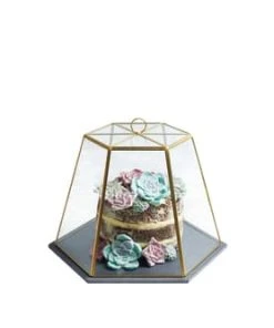 Artesa Cloche En Verre Avec Plat En Ardoise - Transperent Et Noir 13 Artesa Cloche En Verre Avec Plat En Ardoise - Transperent Et Noir -Chef&Sommelier-boutique cloche en verre avec plat en ardoise transperent et noir 5