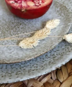 Novastyl Lot De 6 Assiettes à Dessert En Grès 19,5cm 8 Novastyl Lot De 6 Assiettes à Dessert En Grès 19,5cm -Chef&Sommelier-boutique lot de 6 assiettes a dessert en gres 19 5cm 2