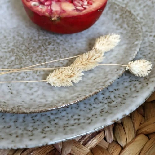 Novastyl Lot De 6 Assiettes à Dessert En Grès 19,5cm 5 Novastyl Lot De 6 Assiettes à Dessert En Grès 19,5cm – Image 3