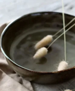 OGO Living Lot De 6 Assiettes Coupes En Grès Vert 20cm -Chef&Sommelier-boutique lot de 6 assiettes coupes en gres vert 20cm 5