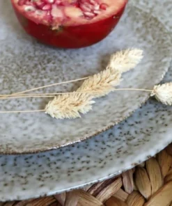 Novastyl Lot De 6 Assiettes Plates En Grès 27cm -Chef&Sommelier-boutique lot de 6 assiettes plates en gres 27cm 2