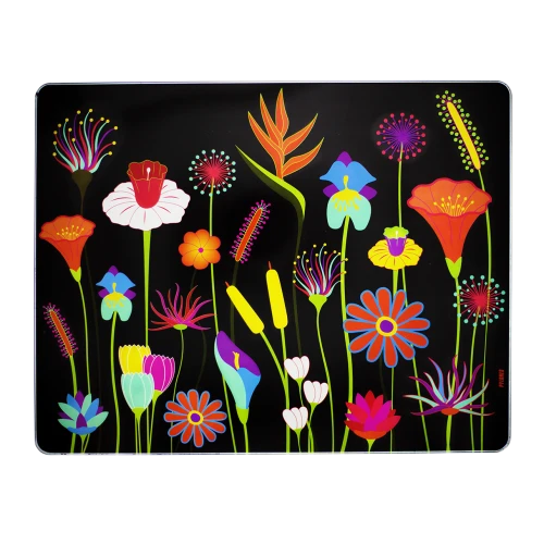 Pylones Planche En Verre 3 Pylones Planche En Verre