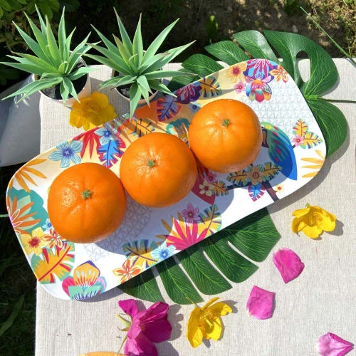 Les Jardins De La Comtesse Plat à Cake Rectangulaire En Mélamine 37,5 Cm Avec Motif Perroquet 5 Les Jardins De La Comtesse Plat à Cake Rectangulaire En Mélamine 37,5 Cm Avec Motif Perroquet – Image 3