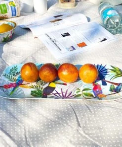 Les Jardins De La Comtesse Plat à Cake Rectangulaire En Mélamine 37,5 Cm Imprimé De Toucans -Chef&Sommelier-boutique plat a cake rectangulaire en melamine 37 5 cm imprime de toucans 1